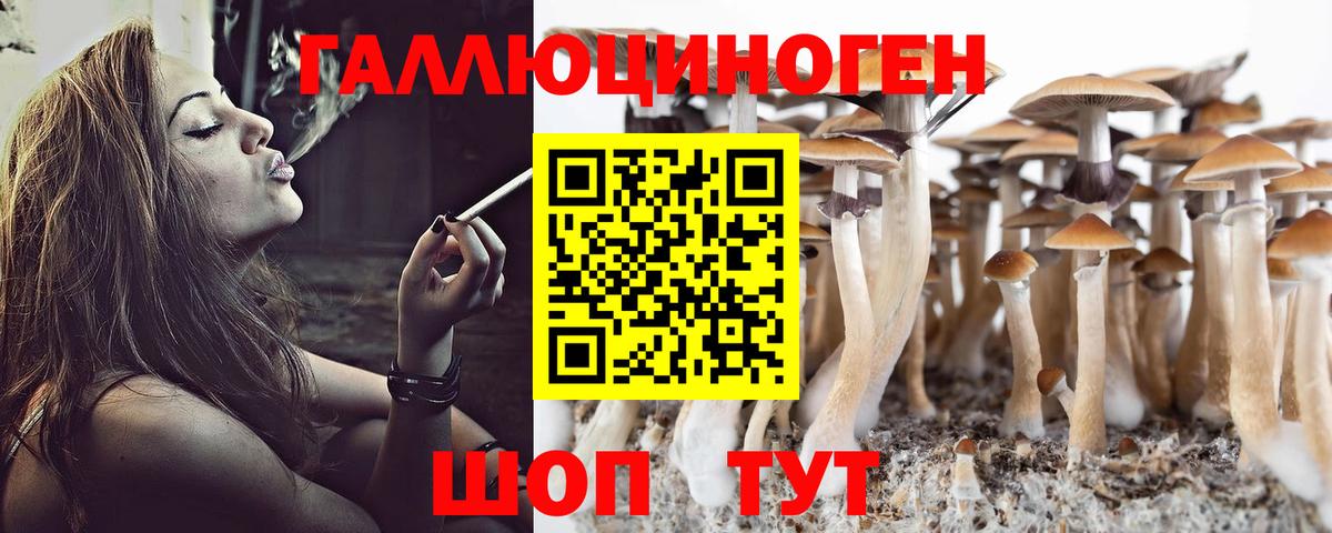 Галлюциногенные грибы Psilocybe Архангельск