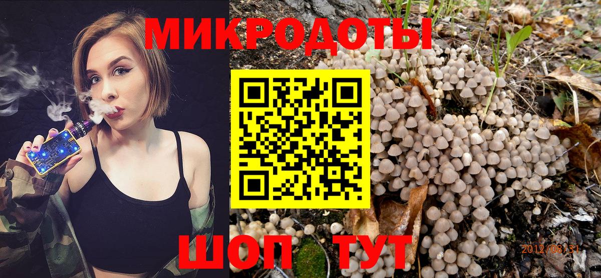 Галлюциногенные грибы MAGIC MUSHROOMS  Вход с VPN  Архангельск 